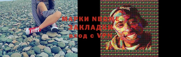 сатива Аркадак