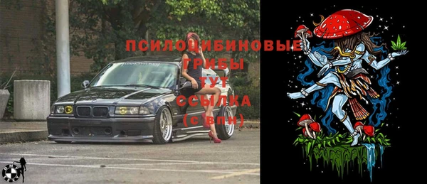 сатива Аркадак