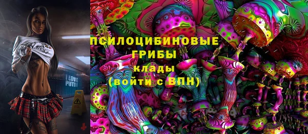 apvp Армянск
