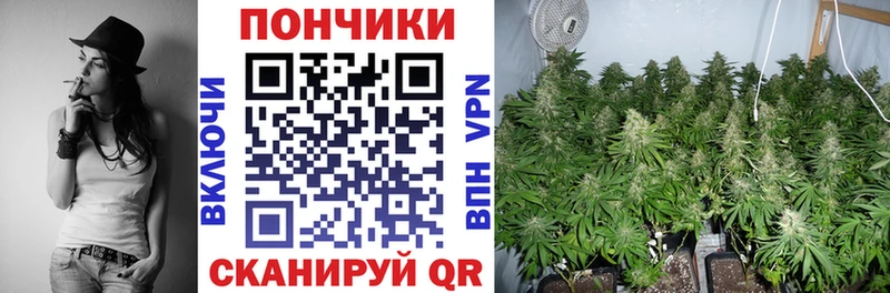 МАРИХУАНА планчик  где найти наркотики  Окуловка 
